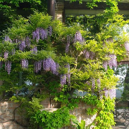 La Casa Sopra Le Nuvole Villa Medesano Ngoại thất bức ảnh