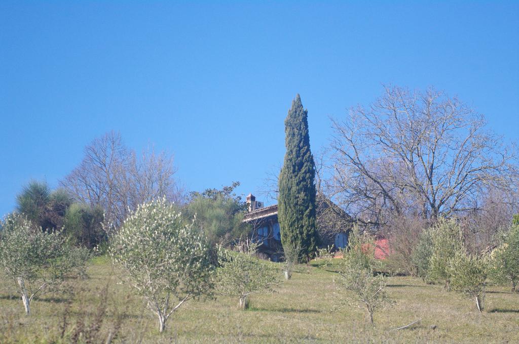La Casa Sopra Le Nuvole Villa Medesano Ngoại thất bức ảnh